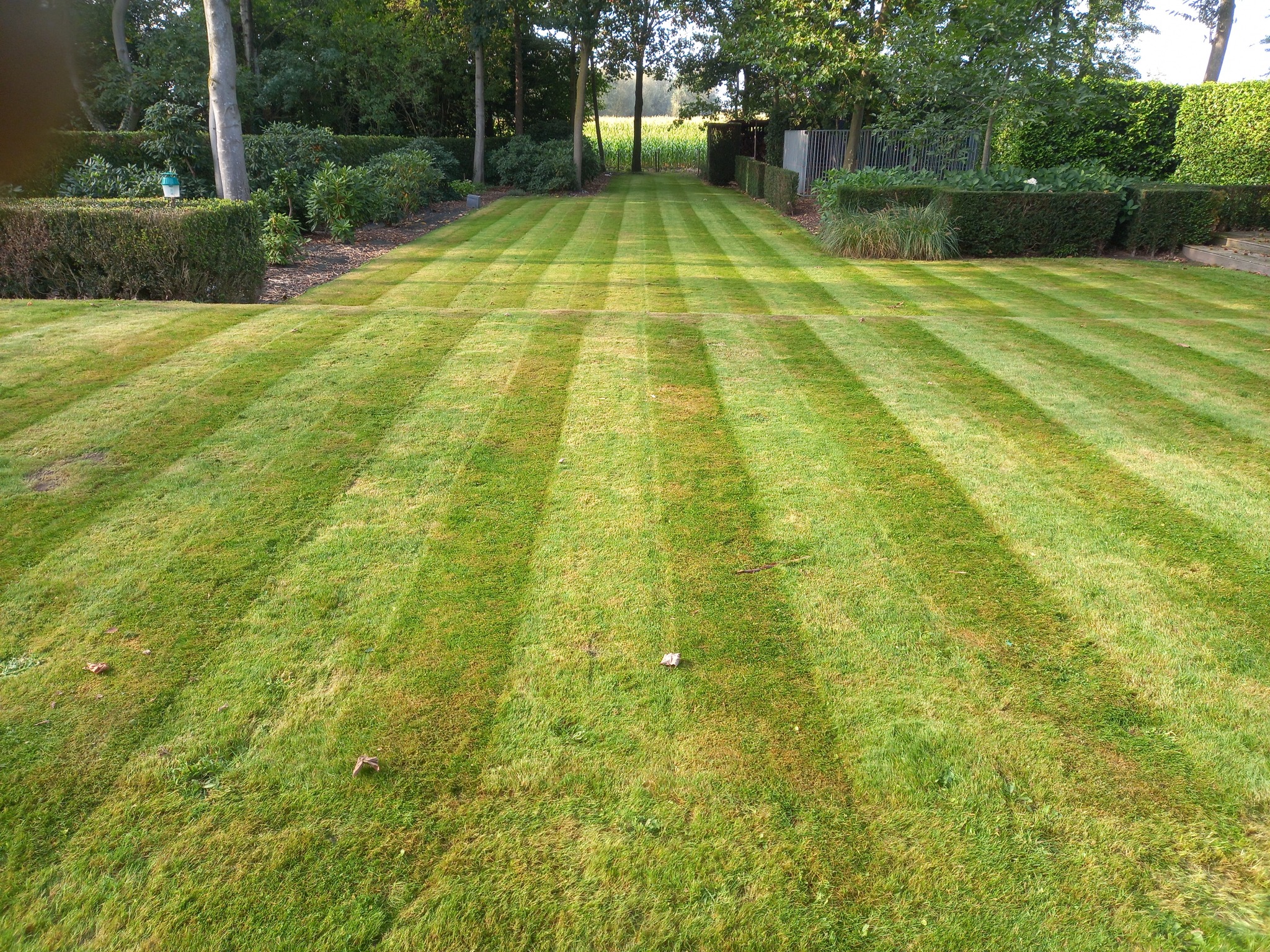 slideshow image 2